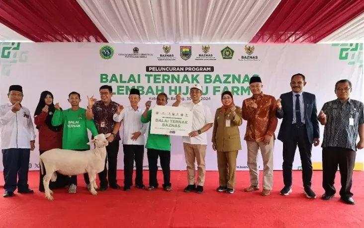 Dalam upaya memperdayakan mustahik, Badan Amil Zakat Nasional (Baznas) Republik Indonesia menjalin kerjasama dengan Sekolah Menengah Kejuruan (SMK) Peternakan Lembah Hijau untuk meresmikan sebuah Balai Ternak di Batang. Kegiatan ini merupakan langkah strategis dalam meningkatkan kesejahteraan masyarakat, khususnya bagi mereka yang tergolong dalam kategori mustahik atau penerima zakat. Balai Ternak ini tidak hanya berfungsi sebagai tempat pemeliharaan hewan ternak, tetapi juga sebagai pusat pelatihan dan pendidikan untuk meningkatkan keterampilan masyarakat dalam bidang peternakan. Dengan pendekatan yang berkelanjutan, diharapkan upaya ini dapat memberikan dampak positif yang signifikan terhadap perekonomian lokal, menciptakan lapangan kerja baru, serta meningkatkan produksi peternakan yang berkelanjutan. 1. Mengapa Pentingnya Pemberdayaan Mustahik? Pemberdayaan mustahik menjadi salah satu fokus utama dalam program Baznas. Mustahik, yang berarti mereka yang berhak menerima zakat, sering kali berada dalam kondisi ekonomi yang kurang menguntungkan dan sulit untuk keluar dari jeratan kemiskinan. Oleh karena itu, program pemberdayaan seperti yang dilakukan oleh Baznas dan SMK Peternakan Lembah Hijau sangat penting. Konteks Sosial dan Ekonomi Di Indonesia, banyak daerah yang masih bergantung pada sektor pertanian dan peternakan sebagai sumber mata pencaharian utama. Namun, minimnya akses terhadap pendidikan dan pelatihan membuat masyarakat sulit untuk mengembangkan keterampilan yang diperlukan dalam pengelolaan usaha ternak. Pemberdayaan mustahik melalui pelatihan dan akses terhadap teknologi modern dalam peternakan akan meningkatkan kapasitas mereka dalam berproduksi. Selain itu, dengan adanya dukungan dari Baznas, mustahik akan mendapatkan modal awal yang diperlukan untuk memulai usaha peternakan mereka sendiri. Dampak Jangka Panjang Dalam jangka panjang, pemberdayaan ini diharapkan tidak hanya memberikan manfaat ekonomi bagi individu, tetapi juga untuk komunitas secara keseluruhan. Dengan meningkatnya jumlah peternak yang terampil, maka akan ada peningkatan dalam produksi daging, susu, dan produk hewani lainnya. Hal ini juga dapat berkontribusi pada ketahanan pangan nasional. Selain itu, pemberdayaan yang berkelanjutan dapat membuat mustahik lebih mandiri dan mampu berkontribusi kembali kepada masyarakat dalam bentuk zakat, infak, atau sumbangan lainnya. 2. Peran Baznas dalam Pemberdayaan Ekonomi Masyarakat Baznas memiliki peran yang sangat penting dalam meningkatkan kesejahteraan masyarakat melalui pengelolaan zakat secara efektif. Dengan menggabungkan potensi zakat dengan program pemberdayaan, Baznas berupaya untuk menciptakan dampak yang lebih besar. Pengelolaan Zakat yang Efisien Baznas mengelola zakat dari berbagai sumber, baik individu maupun perusahaan, untuk didistribusikan kepada mustahik. Program pemberdayaan ini menjadi salah satu cara Baznas dalam memastikan bahwa zakat tidak hanya diterima, tetapi juga dapat membantu mustahik untuk mandiri. Dengan menggunakan pendekatan yang berbasis pada kebutuhan masyarakat, Baznas dapat merancang program-program yang tepat sasaran. Kolaborasi dengan Lembaga Pendidikan Kolaborasi dengan SMK Peternakan Lembah Hijau merupakan langkah strategis dalam meningkatkan kapasitas sumber daya manusia. Melalui pengenalan teknologi dan praktik peternakan modern, peserta pelatihan yang berasal dari kalangan mustahik dapat belajar langsung dari para ahli dan praktisi di bidangnya. Selain itu, SMK Peternakan Lembah Hijau juga menyediakan fasilitas dan infrastruktur yang diperlukan untuk pelaksanaan pelatihan serta praktik langsung. 3. Balai Ternak: Sarana Edukasi dan Praktik Terbaik Balai Ternak yang diresmikan di Batang bertujuan untuk menjadi pusat edukasi dan praktik terbaik dalam bidang peternakan. Tempat ini tidak hanya akan digunakan untuk pembelajaran, tetapi juga untuk penelitian dan pengembangan praktik peternakan yang berkelanjutan. Fasilitas yang Tersedia Balai Ternak dilengkapi dengan berbagai fasilitas yang mendukung proses pembelajaran dan praktik. Ini termasuk kandang modern, ruang pelatihan, serta area untuk pengolahan produk peternakan. Dengan fasilitas yang memadai, peserta pelatihan dapat belajar mengenai manajemen kesehatan ternak, pakan ternak yang baik, serta teknik-teknik inovatif dalam peternakan. Program Pelatihan yang Komprehensif Program pelatihan yang ditawarkan di Balai Ternak mencakup berbagai aspek peternakan, mulai dari teori dasar hingga praktik lapangan. Peserta akan diajarkan mengenai teknik pemeliharaan hewan, pengolahan produk, hingga pemasaran hasil peternakan. Dengan demikian, mereka tidak hanya mendapatkan pengetahuan, tetapi juga keterampilan yang dapat langsung diterapkan. 4. Dampak Sosial dan Ekonomi dari Balai Ternak Dampak dari keberadaan Balai Ternak di Batang diharapkan tidak hanya dirasakan oleh peserta pelatihan, tetapi juga oleh masyarakat secara keseluruhan. Peningkatan Kesejahteraan Masyarakat Dengan adanya balai ternak, diharapkan akan semakin banyak mustahik yang beralih profesi menjadi peternak. Hal ini tentunya akan meningkatkan pendapatan mereka dan memberikan dampak positif terhadap perekonomian lokal. Peningkatan produksi ternak juga berpotensi mengurangi ketergantungan masyarakat pada produk luar, sehingga bisa menciptakan kemandirian daerah. Perubahan Paradigma dalam Dunia Peternakan Balai Ternak juga diharapkan dapat mengubah paradigma masyarakat tentang peternakan. Peternakan bukan lagi dianggap sebagai usaha sampingan, tetapi sebagai bisnis yang berpotensi memberikan keuntungan yang layak. Dengan adanya pengetahuan dan keterampilan yang diperoleh dari pelatihan, masyarakat akan lebih percaya diri untuk memulai usaha peternakan yang berkelanjutan.